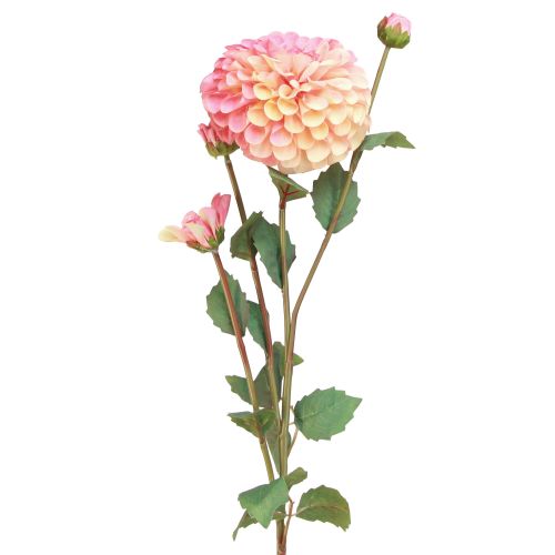 Künstliche Dahlien in Pfirsich Rosa Ø10cm L80cm 2St