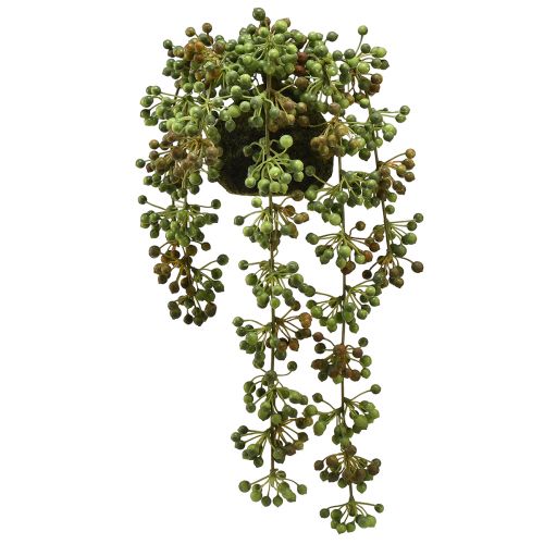 Artikel Grünpflanze künstlich Perlenschnur im Moosball 38cm