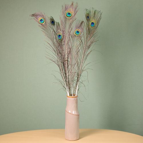 Artikel Pfauenfedern Deko Echte Vogelfedern lang 75-85cm 8 St