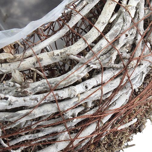 Floristik24 Pflanzschale Ø18cm