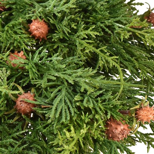 Artikel Tannenkranz Thuja mit Knospen Basis Rebenkranz Ø50cm