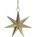 Floristik24 Weihnachtsdeko Stern Anhänger Golden Antik-Optik B19,5cm