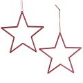 Floristik24 Deko Stern Rot Christbaumschmuck Glitter Ø12cm 12 St