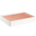 Floristik24 Kerzen Stabkerzen Wachskerzen Orange Peach 50x300mm 4 St