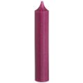 Floristik24 Kurze Stabkerzen Wachskerzen in Berry 21×110mm 6 St