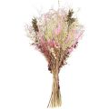 Floristik24 Trockenblumenstrauß Rosa Grün Lagurus Eukalyptus 150g