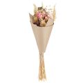 Floristik24 Trockenstrauß Lotos Flachs Distel Rosa Creme 50cm 100g