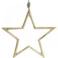 Floristik24 Weihnachtsdeko Stern, Adventsdeko, Stern Anhänger Golden B24,5cm