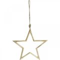 Floristik24 Weihnachtsdeko Stern, Adventsdeko, Stern Anhänger Golden B24,5cm