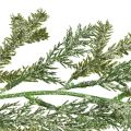 Floristik24 Naturgetreue Tannengirlande Länge 180 cm– Perfekt für festliche Innenraumdekoration, Frisches Grün, Ideal für Weihnachten und Feiertage