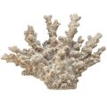 Floristik24 Detailgetreue Korallen-Deko aus Polyresin in Grau – 26 cm – Maritime Eleganz für Ihr Zuhause